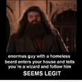 lol Harry Potter