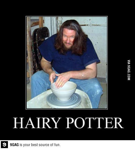 and hairmione - meme
