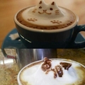 coffee cat confusion ahhhhhh