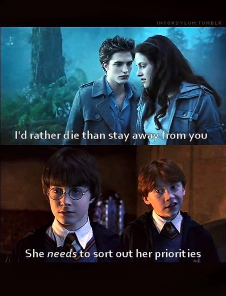More proof that Harry Potter is better - meme