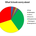 What Schools worry about