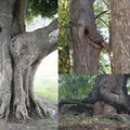 Even the trees get love:( forever alone