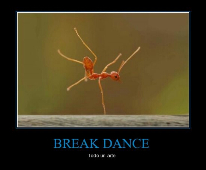 break dance - meme.