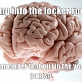 My brain.