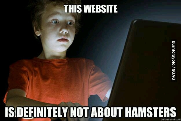 Hamsters  - meme