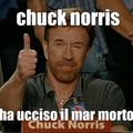 chuck norris figo