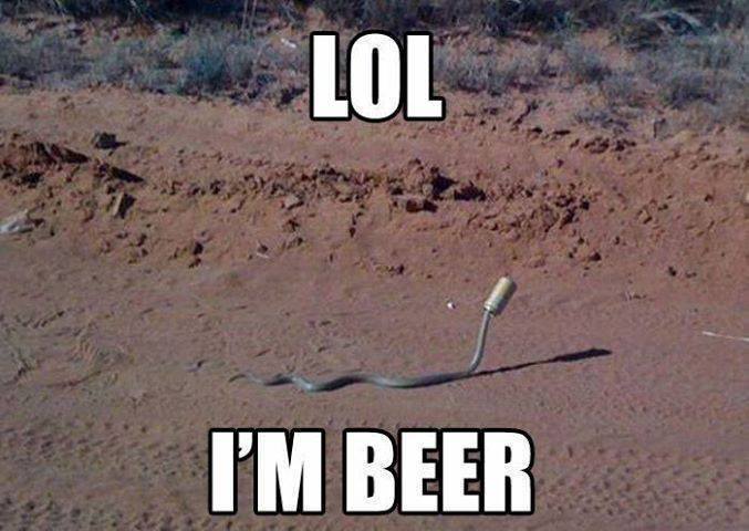 snake is beer - meme