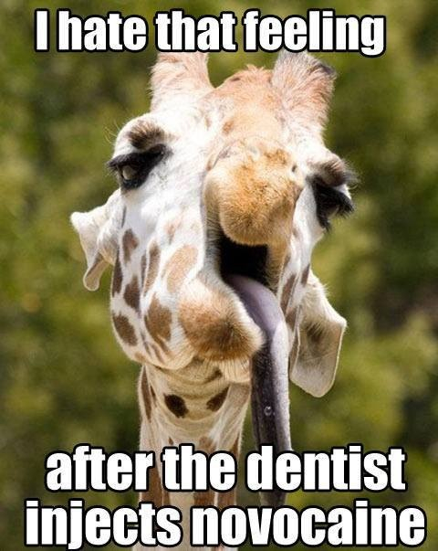 I hate the dentist.... - meme