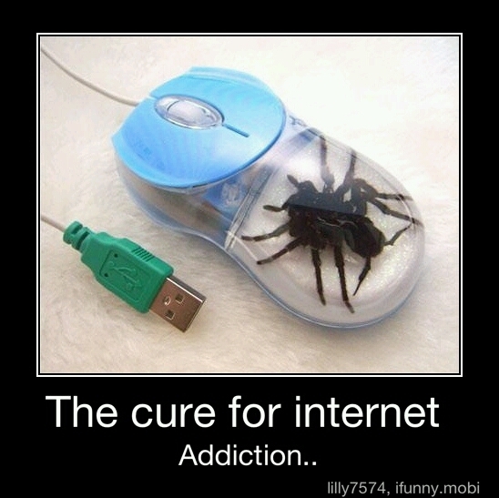 i hate spiders - meme