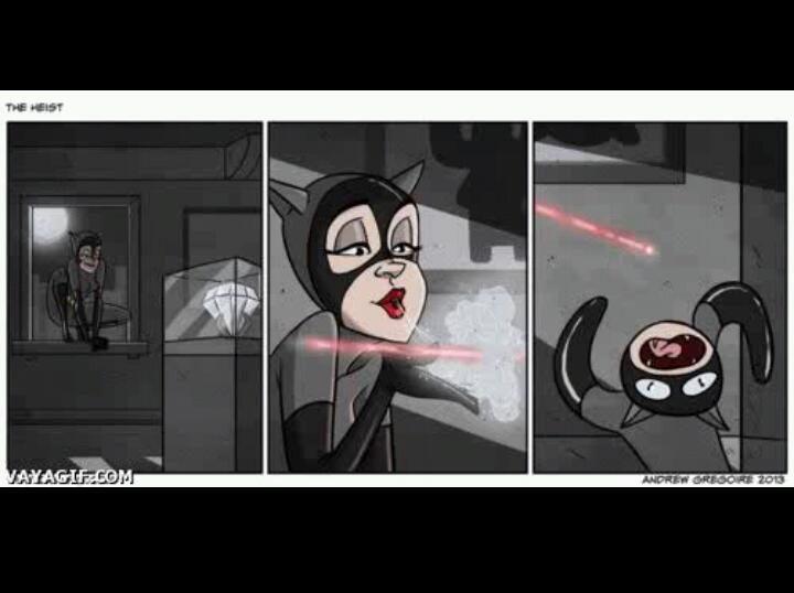 Gatos e lasers - meme