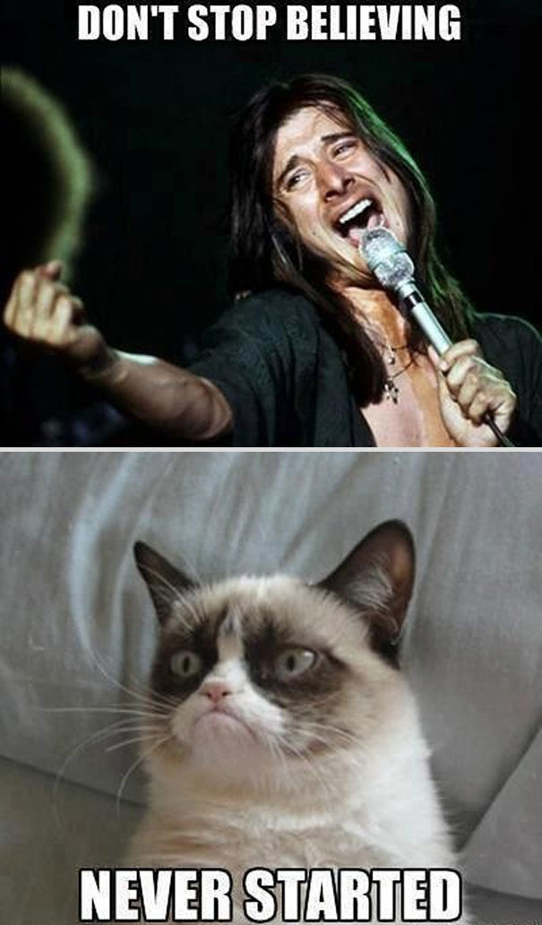 Grumpy Cat Memes Songs