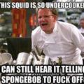 Chef Ramsay Spongebob