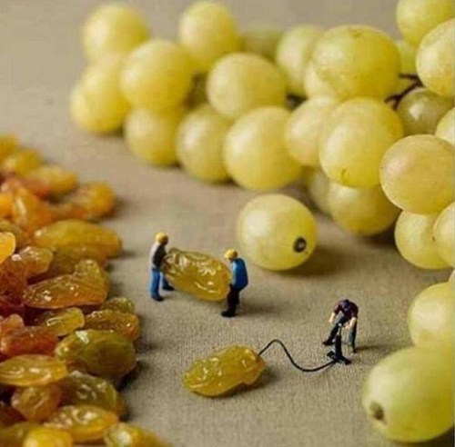 How grapes are made - meme