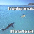 Damn kayakers
