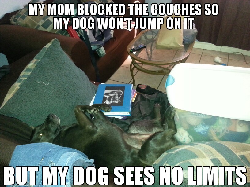 the couches were totally blocked off - meme