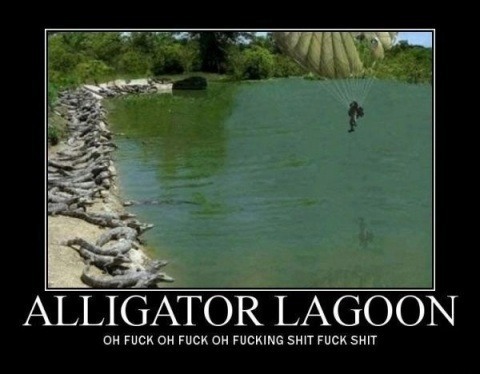 Alligator Lagoon - meme