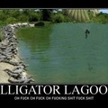 Alligator Lagoon