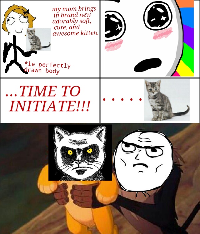 what I did to my new kitten. - meme