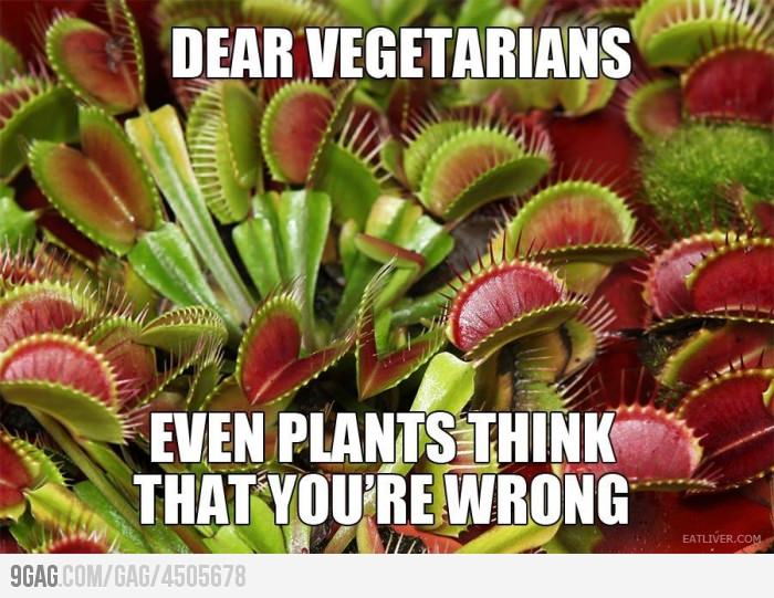 For vegetarians - meme