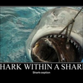sharkception