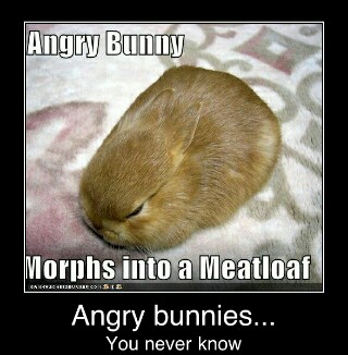 u made bunny very angry :( - meme