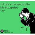 Flying spiders
