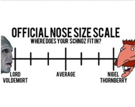 nose scale - meme