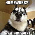 what homework?
