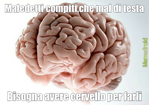 Cervello - meme