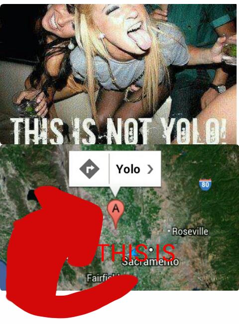 this is yolo - meme