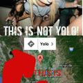 this is yolo
