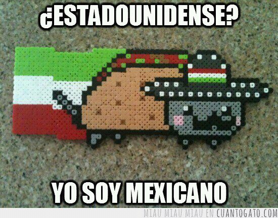 nyan cat mexicano - meme