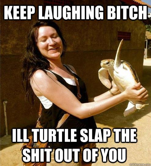 turtle slap - meme