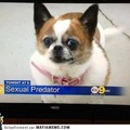 sexual predator!!