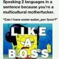 I speak Spanglish like a sir