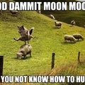 damnit moonmoon