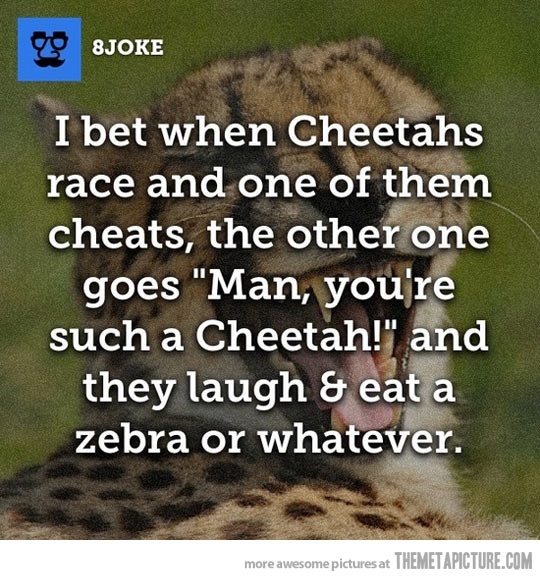 when cheetahs race - meme