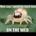 on the web