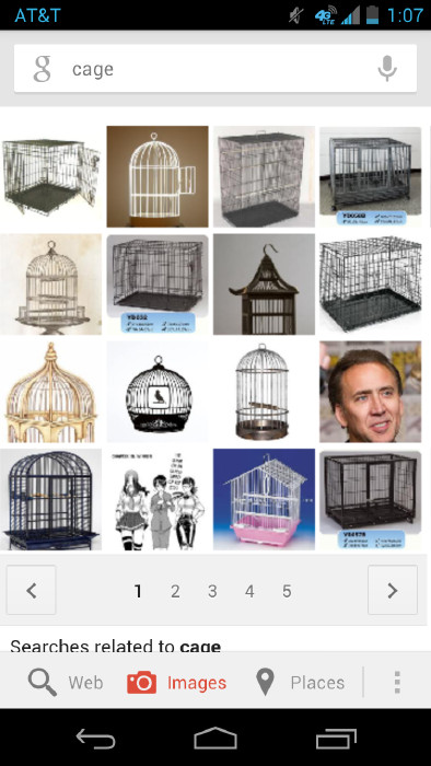 i searched for cages - meme