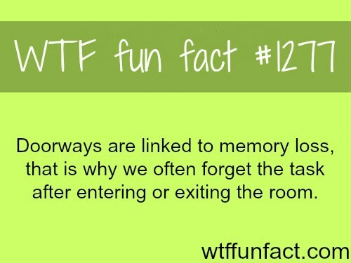 Fun fact: The brain named its self. - meme