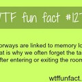 Fun fact: The brain named its self.