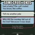 why the monkey