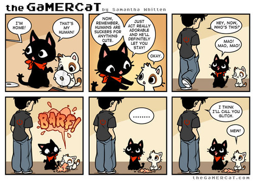-Gamer Cat c: - meme