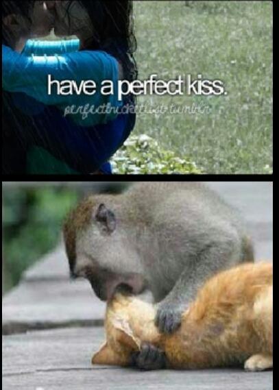 perfect kiss you say...!! - meme