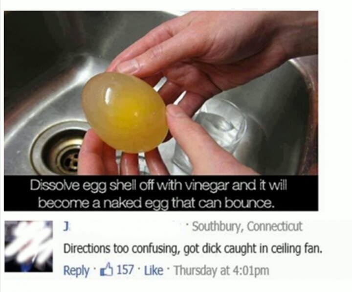 Directions to upload weren't clear… got dick stuck in egg carton - meme