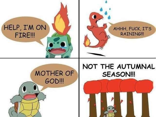 50th comment gets squirtle as their starter - meme