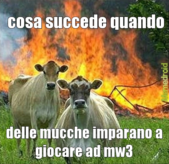 cow soldiers - meme