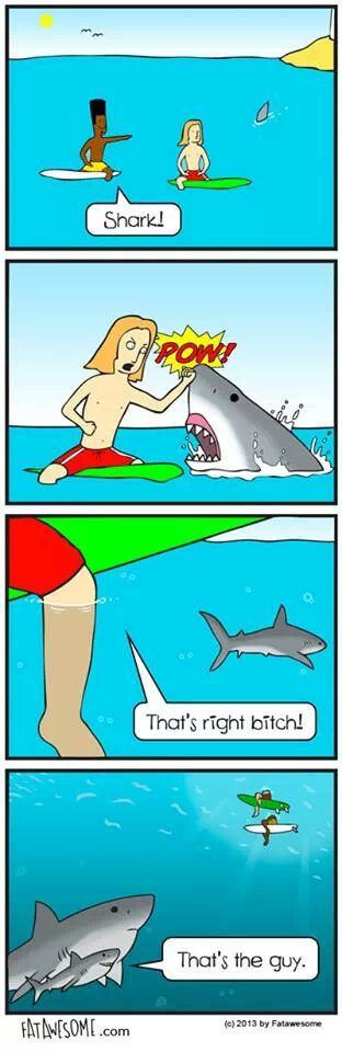He punched a Shark - meme