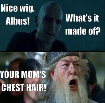 your a wizard Harry - meme