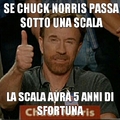 Chuck Norris approved.